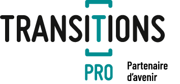 TRANSITIONS PRO