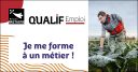 Logo Qualif Emploi