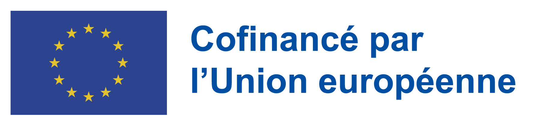 Logo FSE+